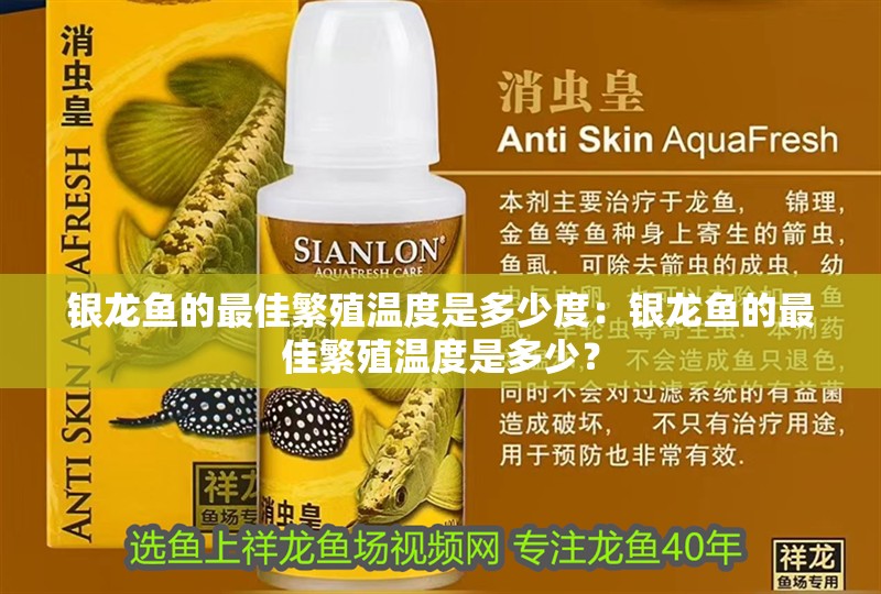銀龍魚的最佳繁殖溫度是多少度：銀龍魚的最佳繁殖溫度是多少？