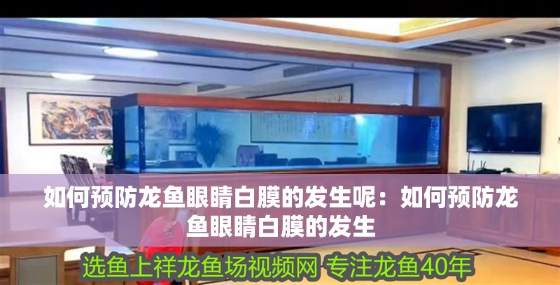 如何預防龍魚眼睛白膜的發生呢：如何預防龍魚眼睛白膜的發生
