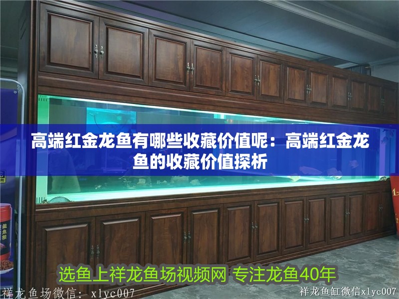 高端紅金龍魚有哪些收藏價值呢：高端紅金龍魚的收藏價值探析