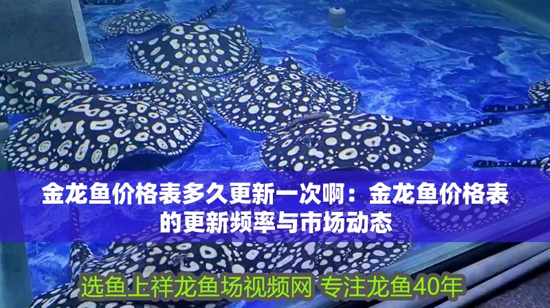 金龍魚價格表多久更新一次啊：金龍魚價格表的更新頻率與市場動態