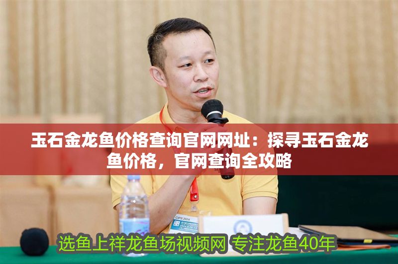 玉石金龍魚價格查詢官網網址：探尋玉石金龍魚價格，官網查詢全攻略