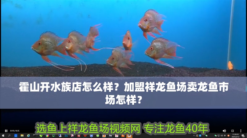 霍山開水族店怎么樣？加盟祥龍魚場賣龍魚市場怎樣？
