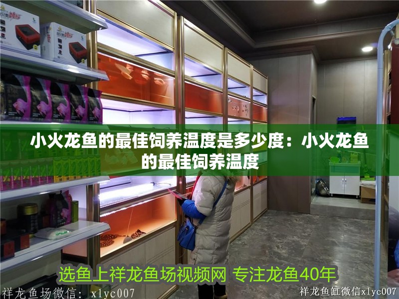 小火龍魚的最佳飼養(yǎng)溫度是多少度：小火龍魚的最佳飼養(yǎng)溫度