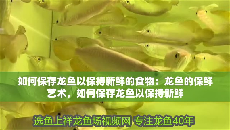 如何保存龍魚以保持新鮮的食物：龍魚的保鮮藝術(shù)，如何保存龍魚以保持新鮮