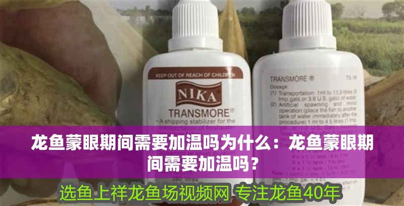 龍魚蒙眼期間需要加溫嗎為什么：龍魚蒙眼期間需要加溫嗎？