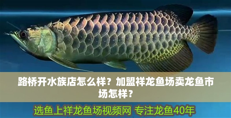 路橋開(kāi)水族店怎么樣？加盟祥龍魚(yú)場(chǎng)賣(mài)龍魚(yú)市場(chǎng)怎樣？