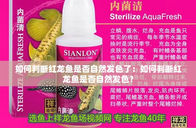 如何判斷紅龍魚是否自然發色了：如何判斷紅龍魚是否自然發色？