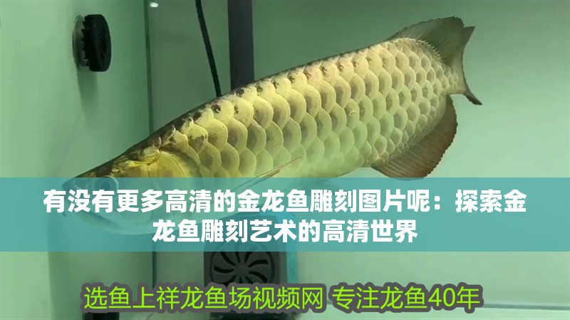 有沒有更多高清的金龍魚雕刻圖片呢：探索金龍魚雕刻藝術的高清世界
