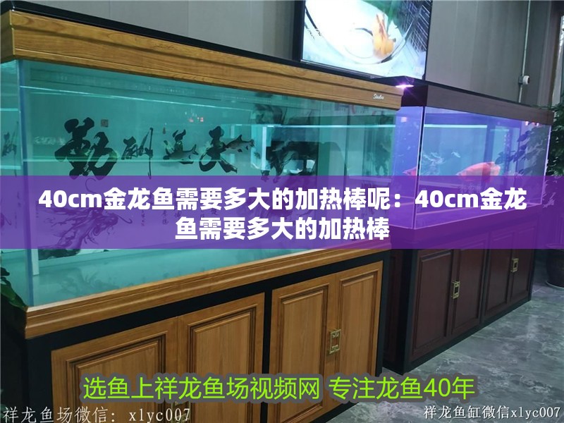 40cm金龍魚需要多大的加熱棒呢：40cm金龍魚需要多大的加熱棒