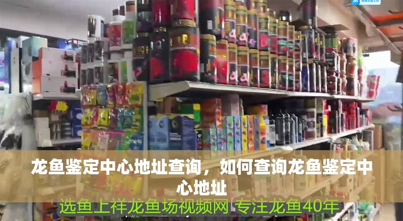 龍魚鑒定中心地址查詢，如何查詢龍魚鑒定中心地址