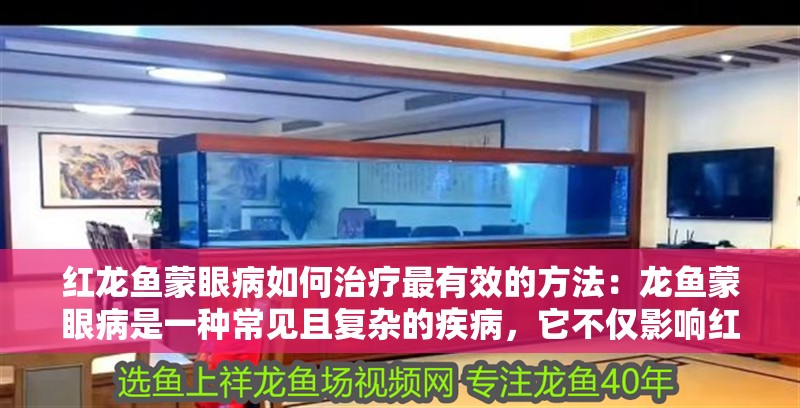 紅龍魚蒙眼病如何治療最有效的方法：龍魚蒙眼病是一種常見且復雜的疾病，它不僅影響紅龍魚的外觀，還可能對它們的健康造成長期影響。治療紅龍魚蒙眼病需要耐心和細心，以下是一些有效的治療措施