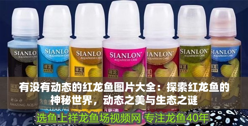 有沒有動態的紅龍魚圖片大全：探索紅龍魚的神秘世界，動態之美與生態之謎