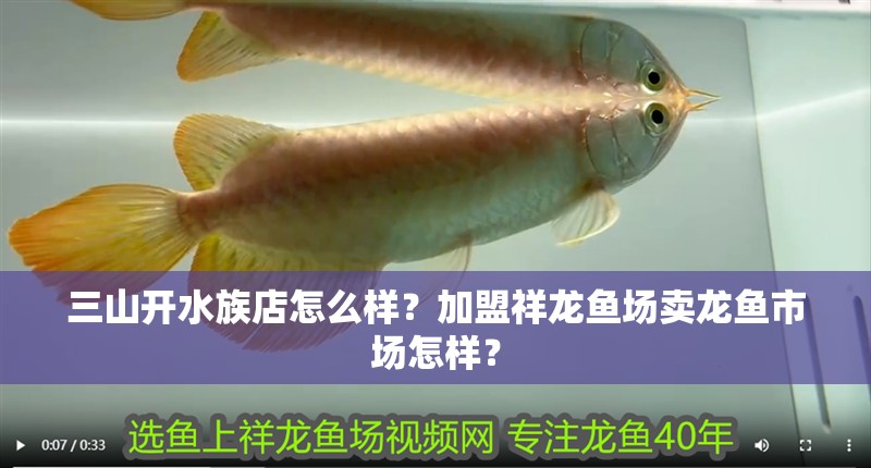 三山開水族店怎么樣？加盟祥龍魚場賣龍魚市場怎樣？