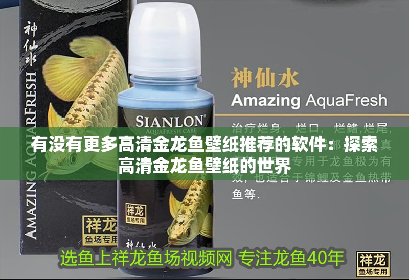 有沒有更多高清金龍魚壁紙推薦的軟件：探索高清金龍魚壁紙的世界