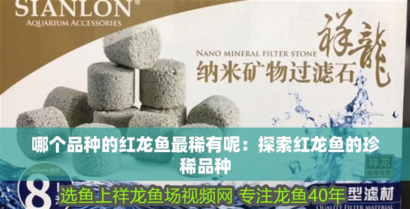 哪個品種的紅龍魚最稀有呢：探索紅龍魚的珍稀品種