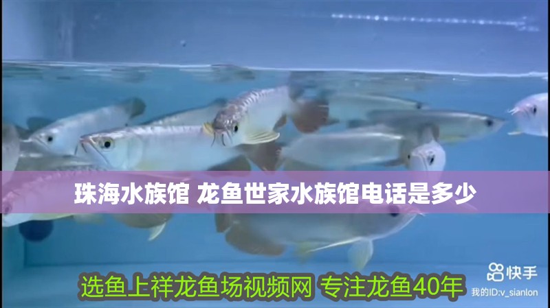 珠海水族館 龍魚世家水族館電話是多少