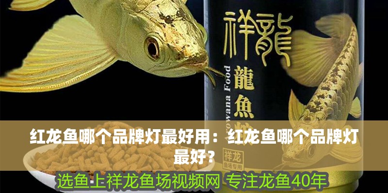 紅龍魚哪個品牌燈最好用：紅龍魚哪個品牌燈最好？