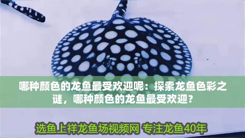哪種顏色的龍魚(yú)最受歡迎呢：探索龍魚(yú)色彩之謎，哪種顏色的龍魚(yú)最受歡迎？