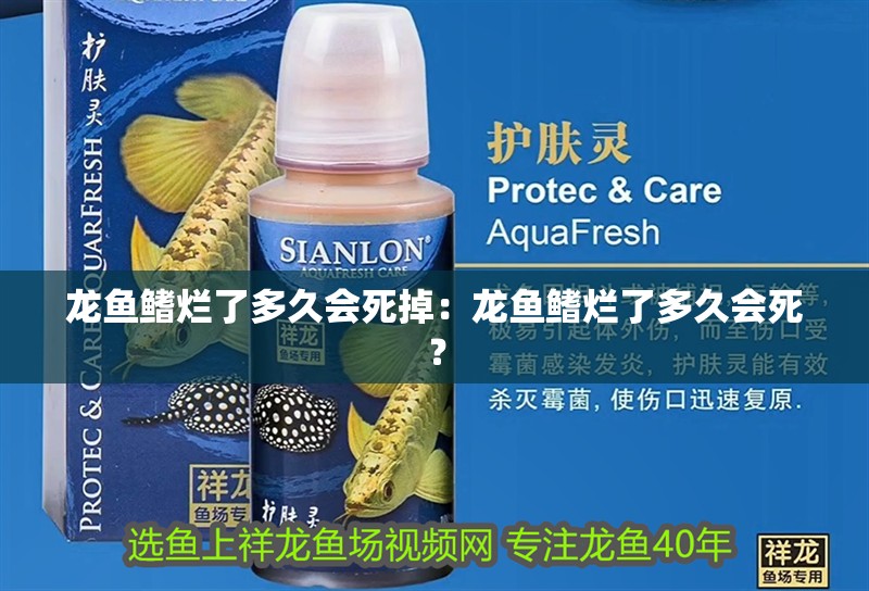 龍魚鰭爛了多久會死掉：龍魚鰭爛了多久會死？