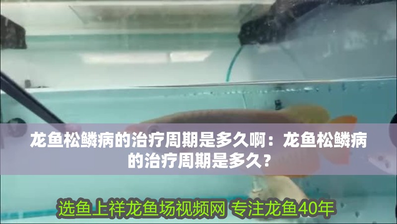 龍魚松鱗病的治療周期是多久啊：龍魚松鱗病的治療周期是多久？