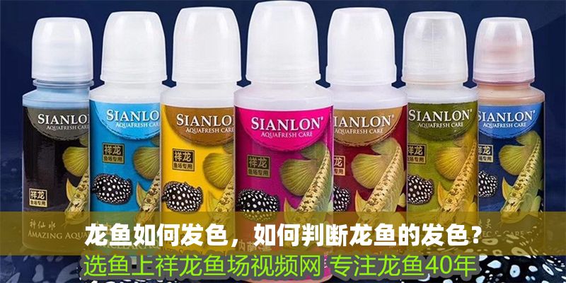 龍魚如何發色，如何判斷龍魚的發色？