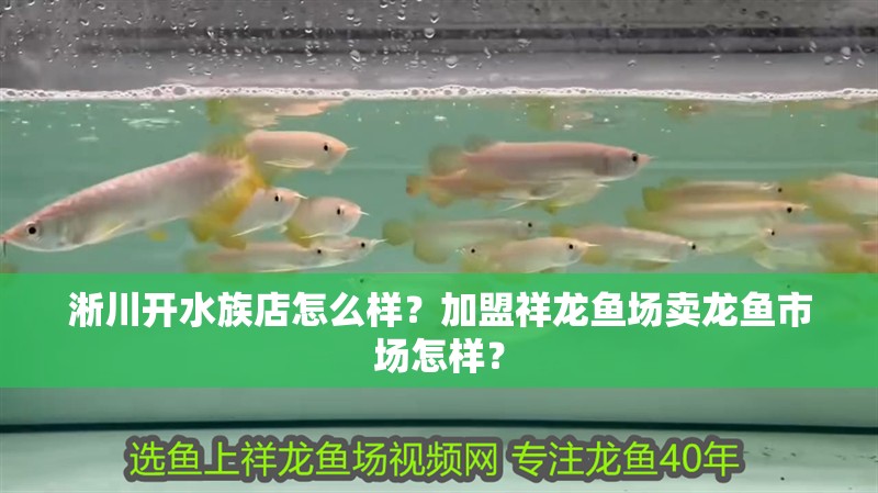 <strong><mark>淅川</mark></strong>開水族店怎么樣？加盟祥龍魚場賣龍魚市場怎樣？