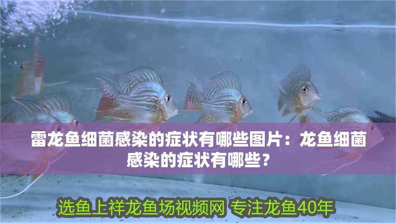 雷龍魚細菌感染的癥狀有哪些圖片：龍魚細菌感染的癥狀有哪些？