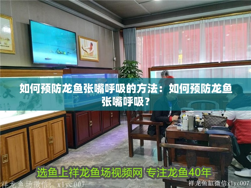 如何預防龍魚張嘴呼吸的方法：如何預防龍魚張嘴呼吸？