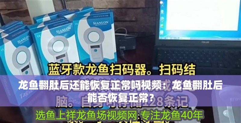 龍魚翻肚后還能恢復正常嗎視頻：龍魚翻肚后能否恢復正常？