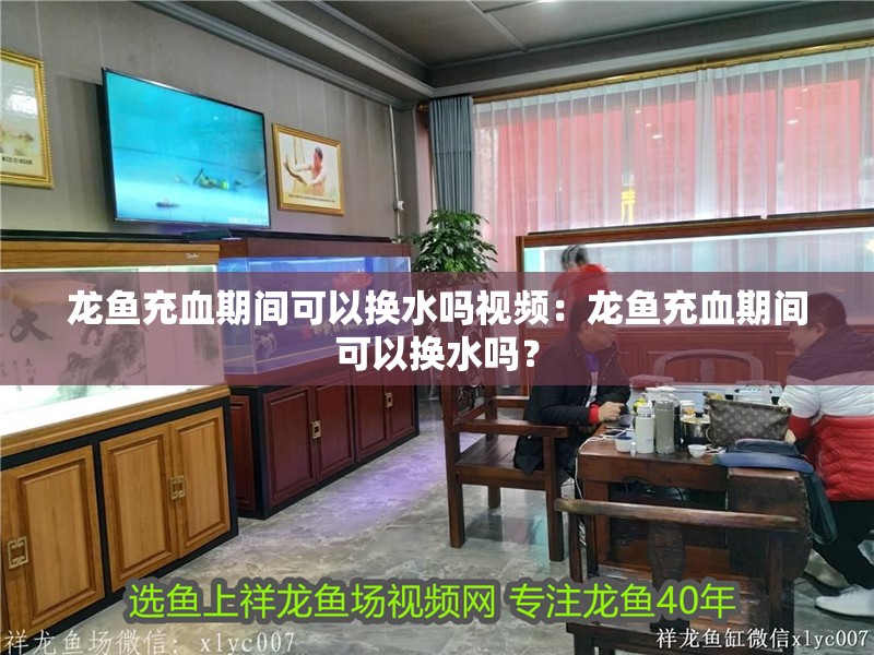 龍魚充血期間可以換水嗎視頻：龍魚充血期間可以換水嗎？