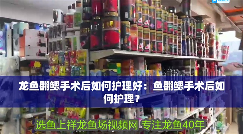 龍魚翻鰓手術后如何護理好：魚翻鰓手術后如何護理？