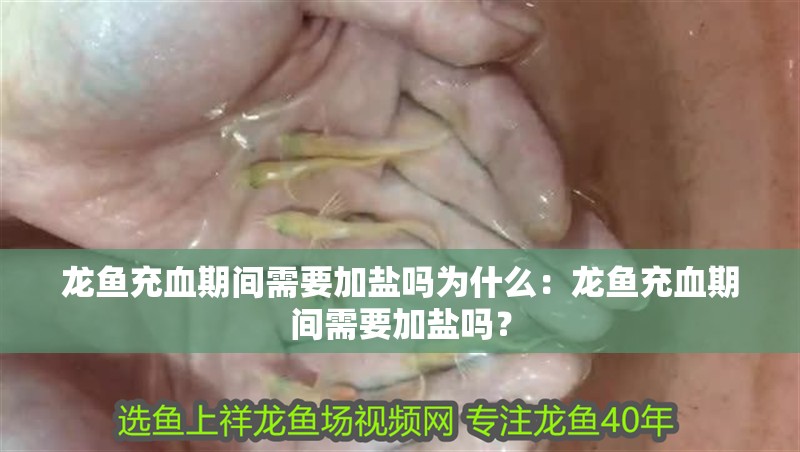 龍魚充血期間需要加鹽嗎為什么：龍魚充血期間需要加鹽嗎？