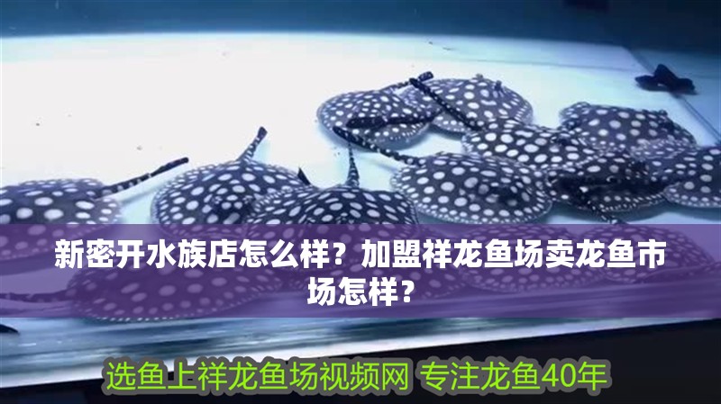 新密開水族店怎么樣？加盟祥龍魚場賣龍魚市場怎樣？