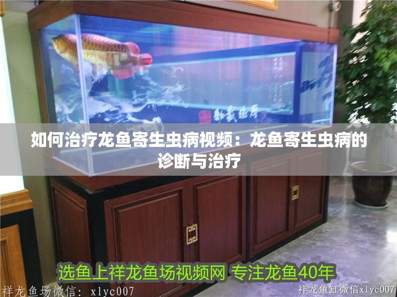 如何治療龍魚寄生蟲病視頻：龍魚寄生蟲病的診斷與治療