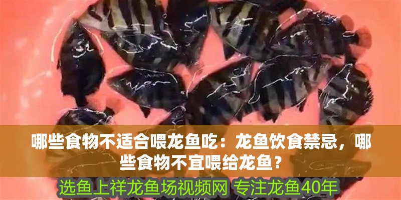 哪些食物不適合喂龍魚吃：龍魚飲食禁忌，哪些食物不宜喂給龍魚？