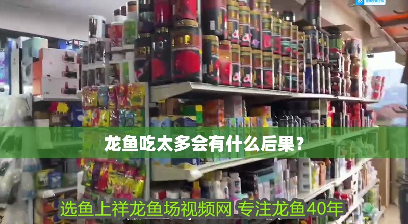 龍魚吃太多會有什么后果？ 龍魚吃太多會有什么后果？ 龍魚百科