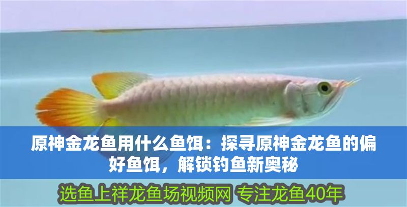 原神金龍魚用什么魚餌：探尋原神金龍魚的偏好魚餌，解鎖釣魚新奧秘