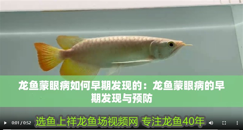 龍魚蒙眼病如何早期發(fā)現(xiàn)的：龍魚蒙眼病的早期發(fā)現(xiàn)與預(yù)防