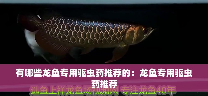 有哪些龍魚專用驅蟲藥推薦的：龍魚專用驅蟲藥推薦