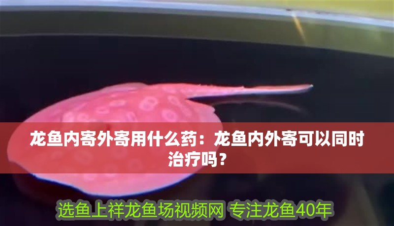 龍魚內(nèi)寄外寄用什么藥：龍魚內(nèi)外寄可以同時治療嗎？