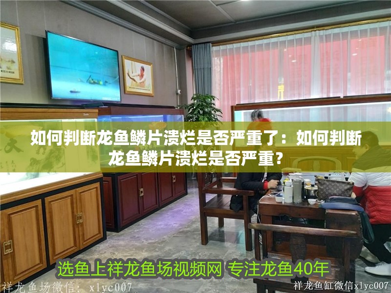 如何判斷龍魚鱗片潰爛是否嚴重了：如何判斷龍魚鱗片潰爛是否嚴重？