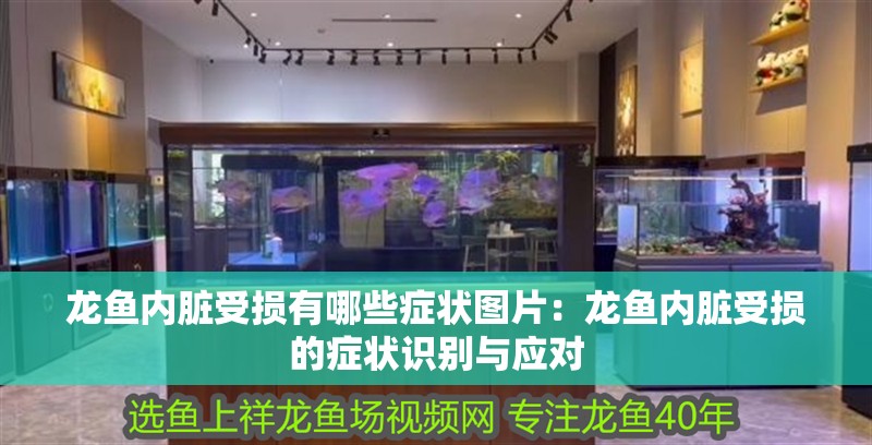 龍魚內臟受損有哪些癥狀圖片：龍魚內臟受損的癥狀識別與應對