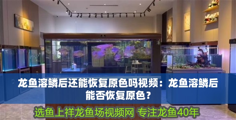 龍魚溶鱗后還能恢復原色嗎視頻：龍魚溶鱗后能否恢復原色？