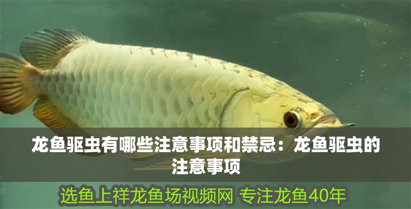 龍魚驅蟲有哪些注意事項和禁忌：龍魚驅蟲的注意事項