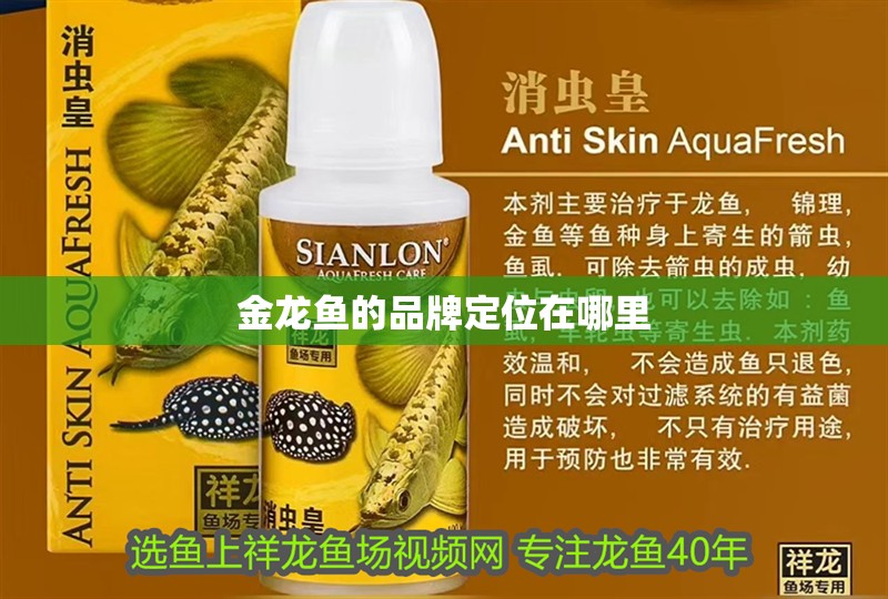 金龍魚的品牌定位在哪里
