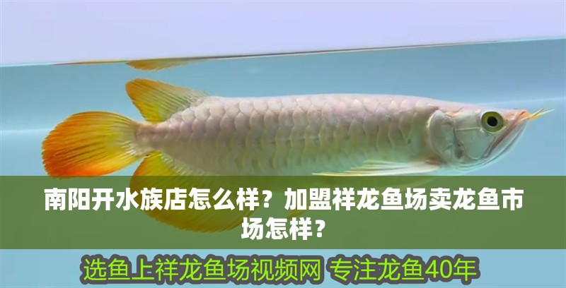 南陽開水族店怎么樣？加盟祥龍魚場賣龍魚市場怎樣？