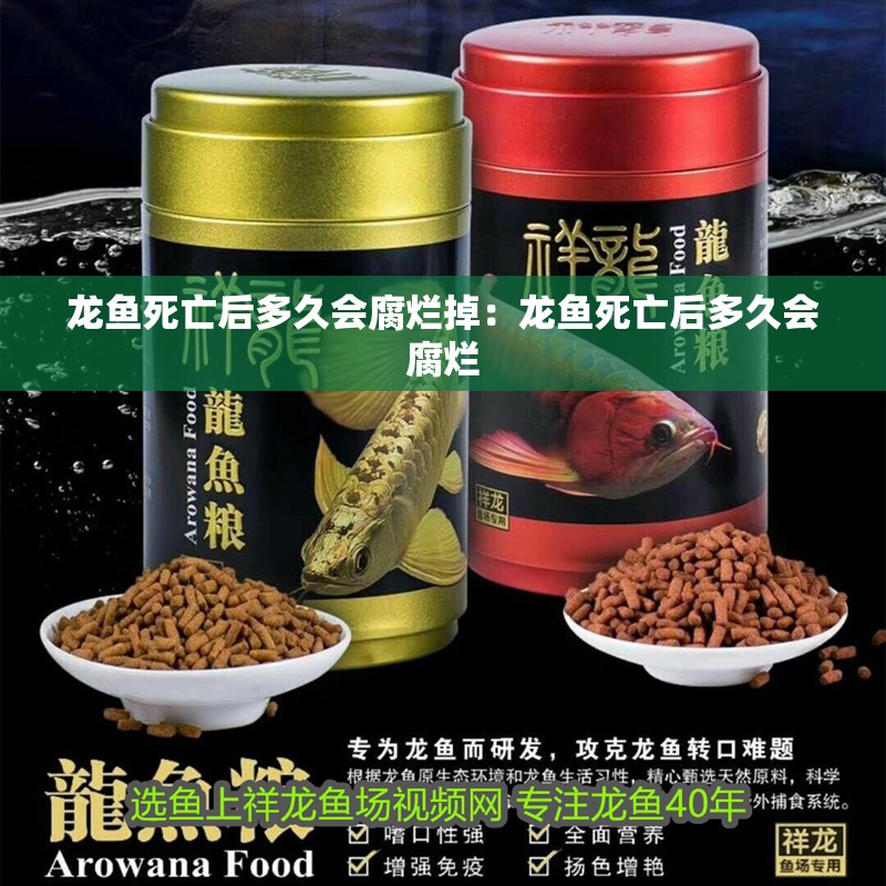 龍魚死亡后多久會腐爛掉：龍魚死亡后多久會腐爛