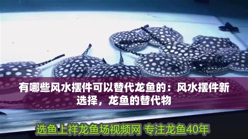 有哪些風水擺件可以替代龍魚的：風水擺件新選擇，龍魚的替代物