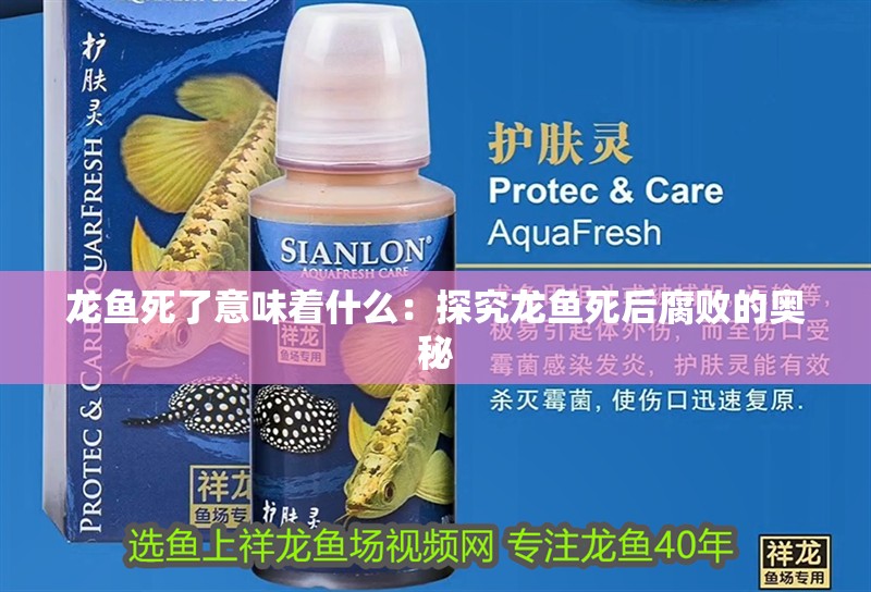 龍魚死了意味著什么：探究龍魚死后腐敗的奧秘