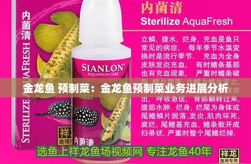金龍魚 預制菜：金龍魚預制菜業務進展分析